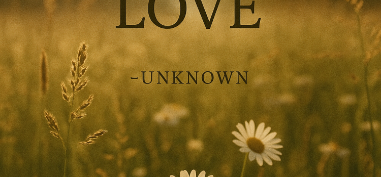 Do What You Love: A Gentle Reminder from the Past