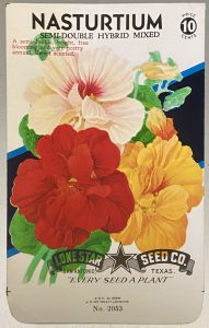 A Coastal Escape & Vintage Finds - vintage nasturtium seed packet