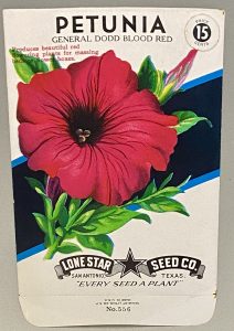 A Coastal Escape & Vintage Finds - vintage petunia seed packet