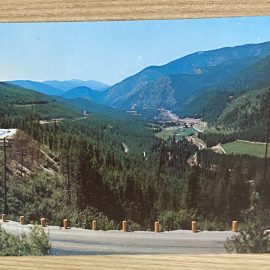 Unique Vintage Postcards & Classic Little Golden Books