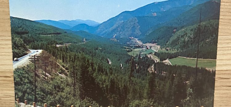 Unique Vintage Postcards & Classic Little Golden Books