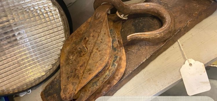 From the Barn to the Booth: This Week’s Finds